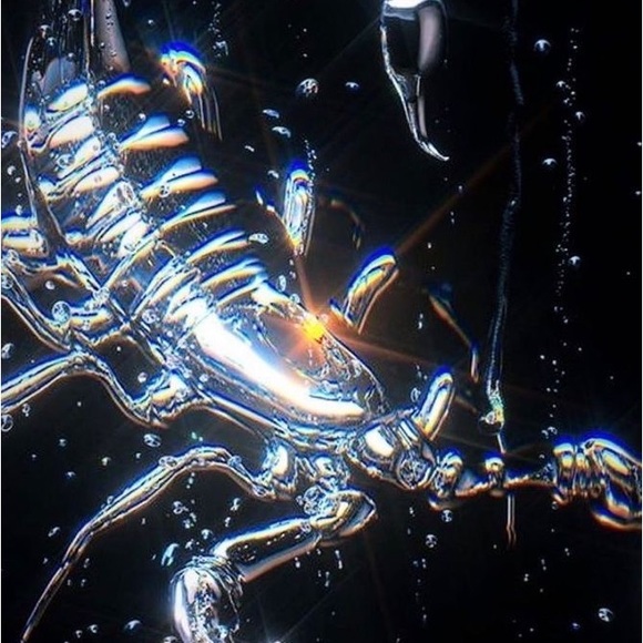 Meet your Posher, Rocio - Picture 1 of 1